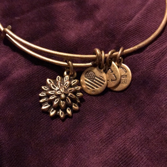 Alex and ani bracelet - Picture 1 of 2